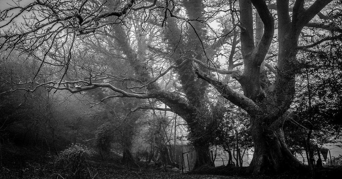 微信朋友圈卖货变现：私域运营月入2万完整方案